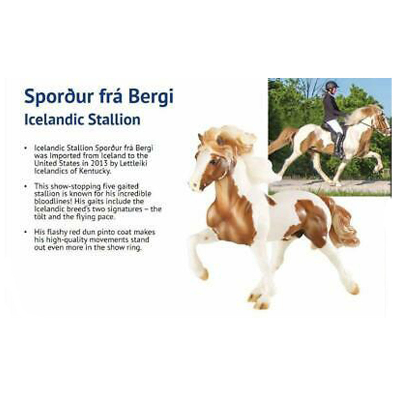 Breyer Horses - Sporður frá Bergi Box Back